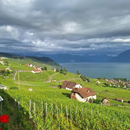 民宿 Martine's Cosy Guestroom With Private Bath Near Montreux