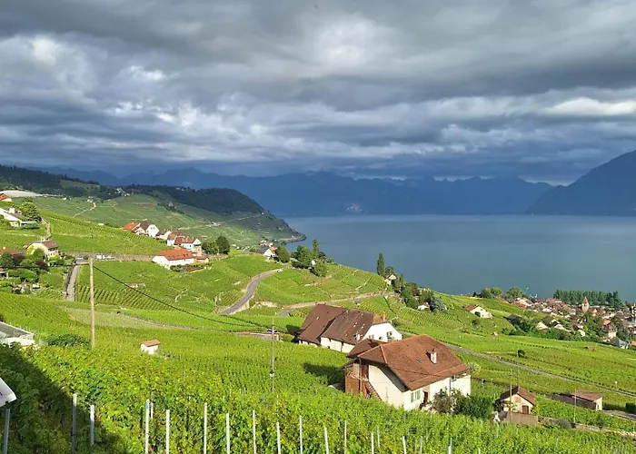 民宿 Martine's Cosy Guestroom With Private Bath Near Montreux