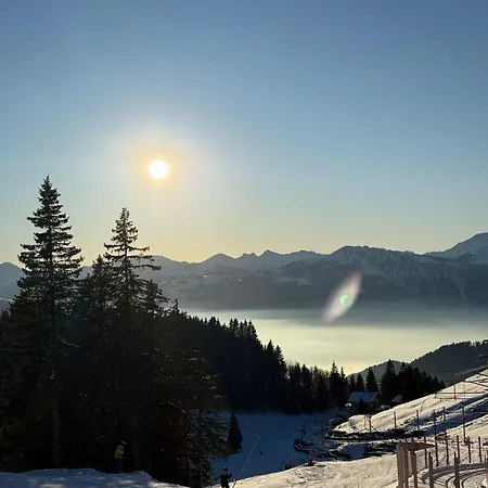 Martine's Cosy Guestroom With Private Bath Near Montreux * לה טור-דה-פה